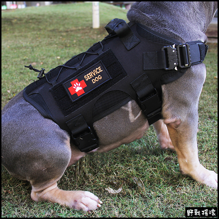 軍風狗狗戰術背心、軍事犬衣