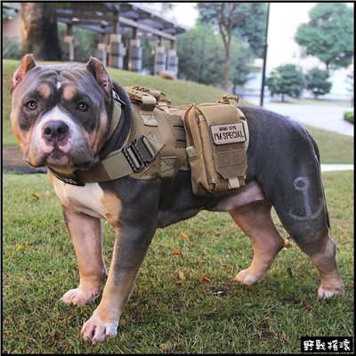 軍風狗狗戰術背心、軍事犬衣